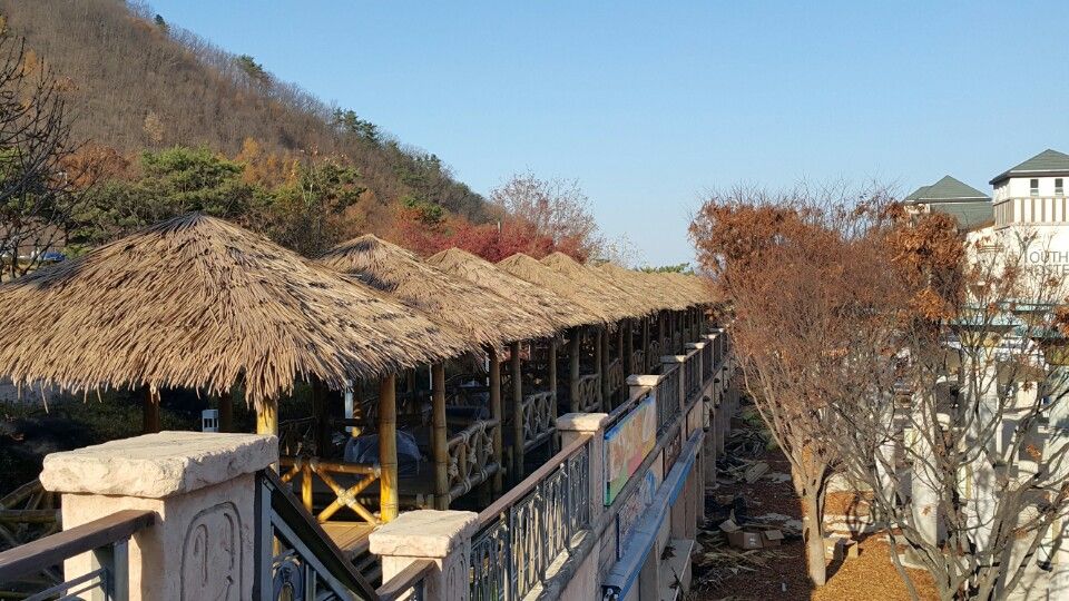 비발디파크 인조갈대 카바나 시공